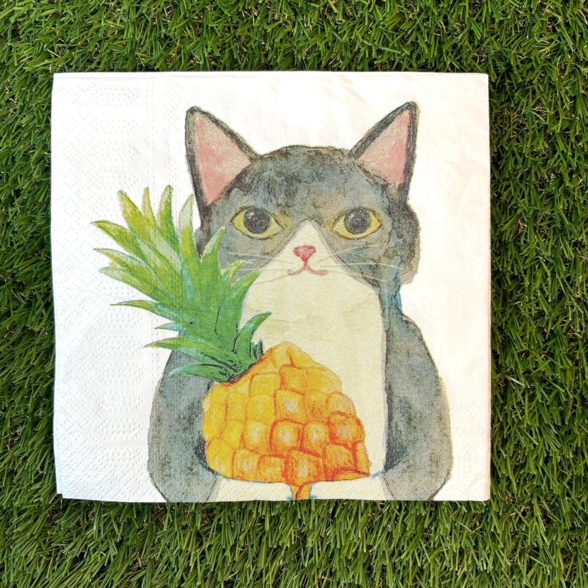 #nyankopaws# #cat_plate# #Cat_picture# #Cat_lover_store# #Cat_Tea#