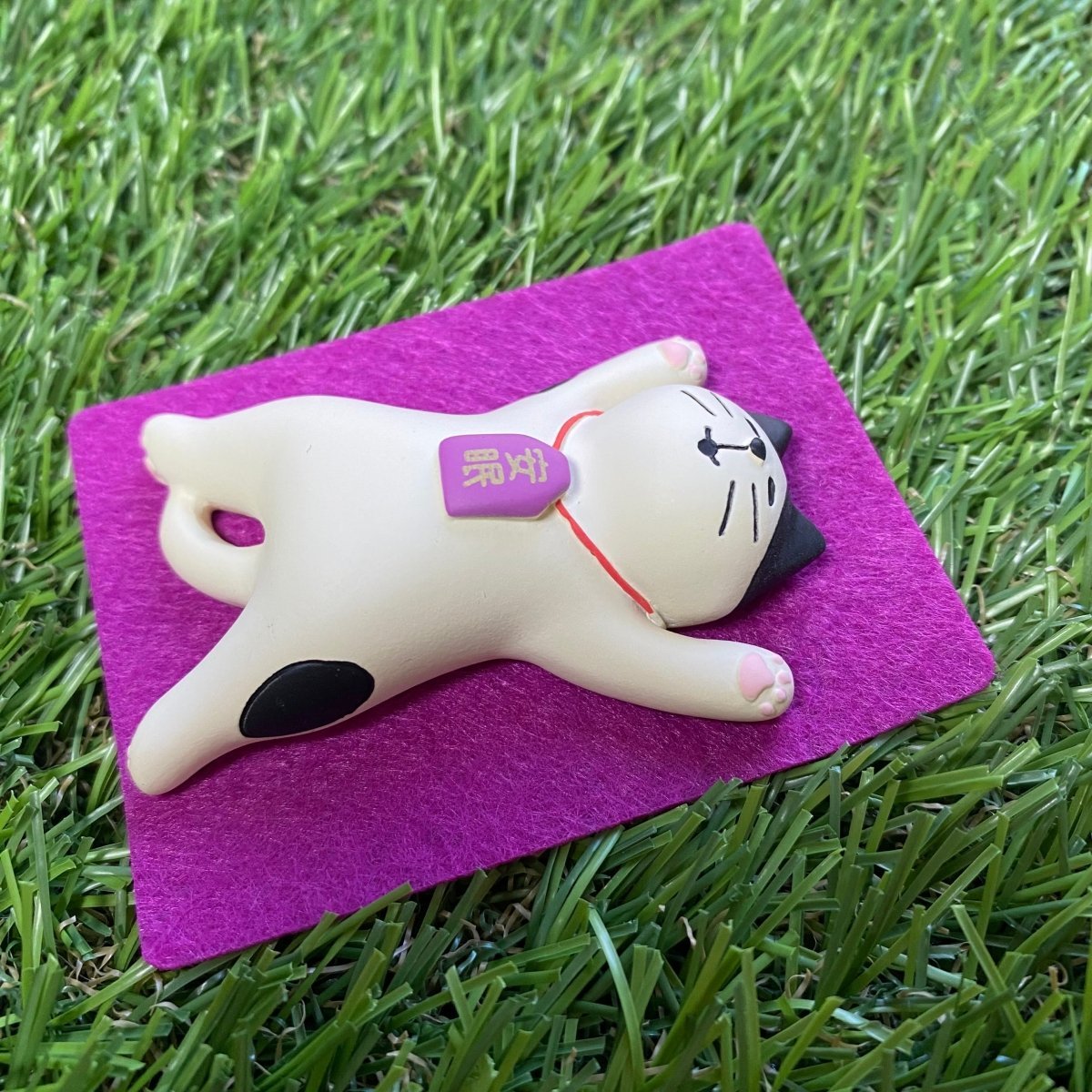 #nyankopaws# #cat_plate# #Cat_picture# #Cat_lover_store# #Cat_Tea#