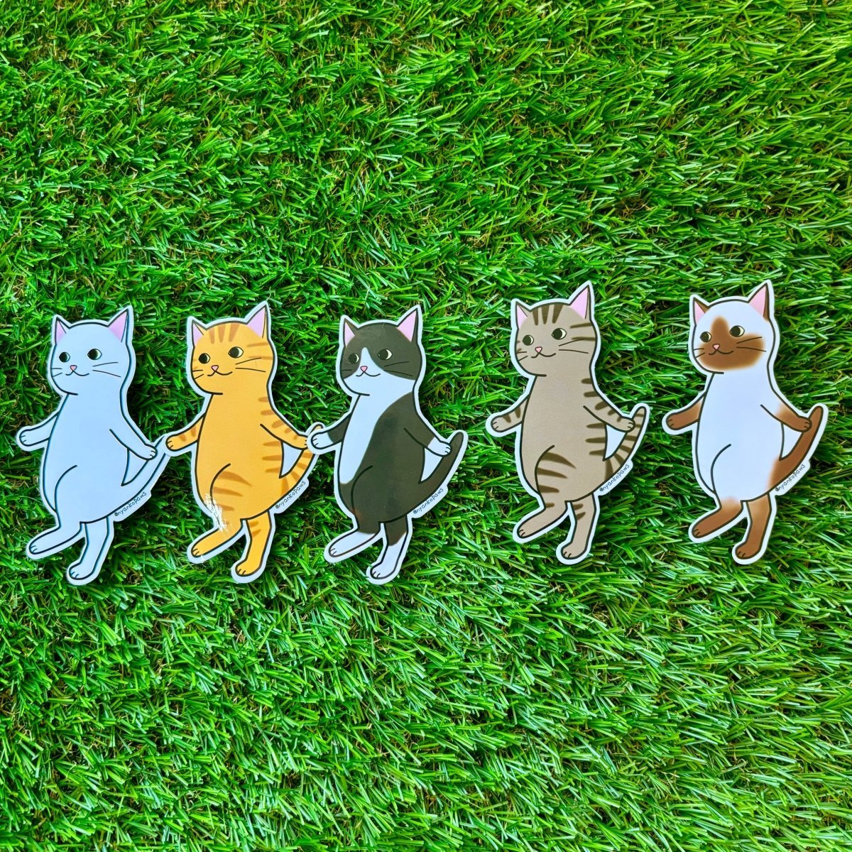#nyankopaws# #cat_plate# #Cat_picture# #Cat_lover_store# #Cat_Tea#