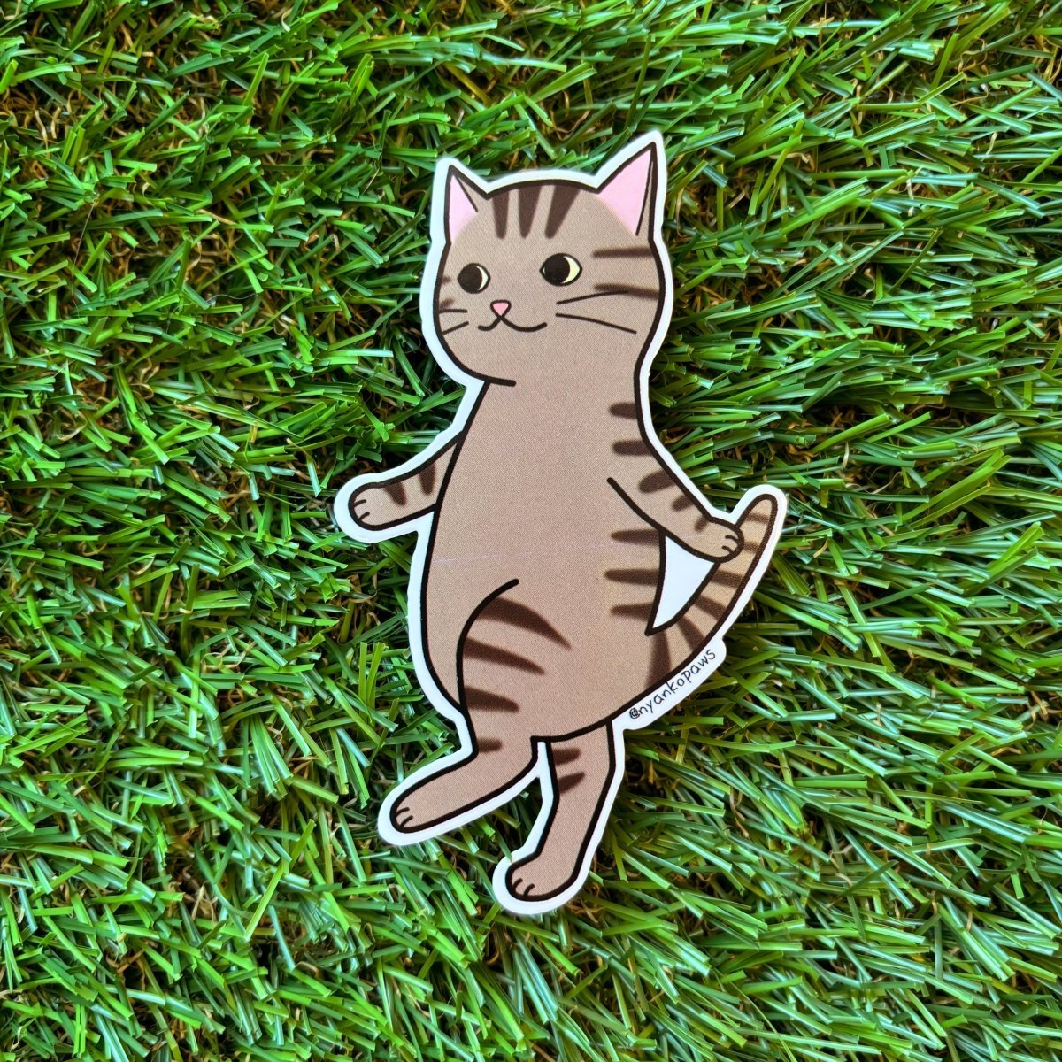 #nyankopaws# #cat_plate# #Cat_picture# #Cat_lover_store# #Cat_Tea#