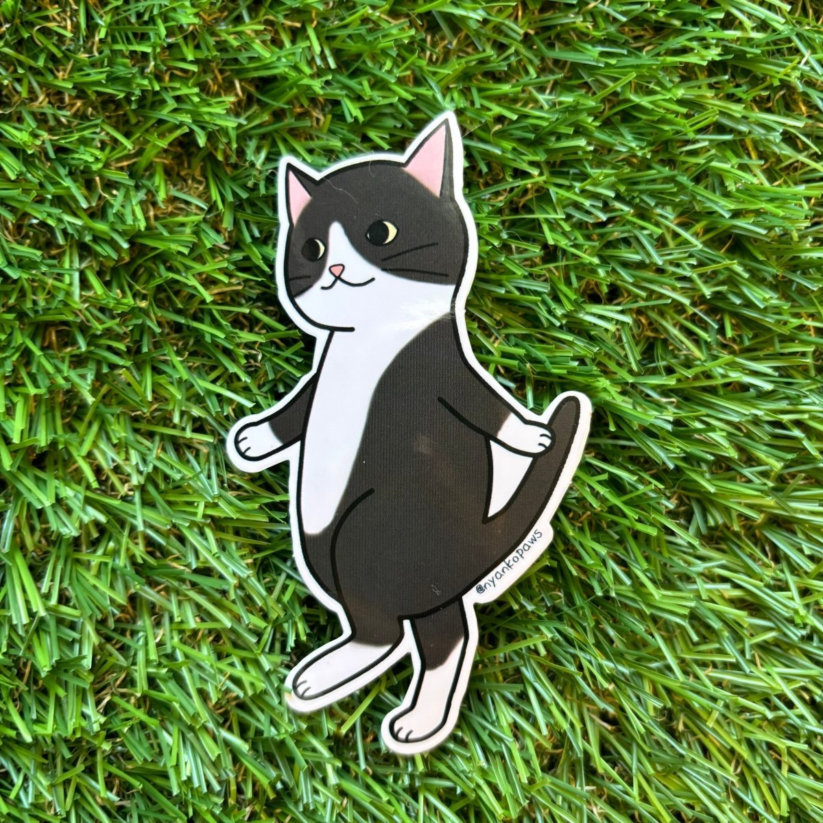 #nyankopaws# #cat_plate# #Cat_picture# #Cat_lover_store# #Cat_Tea#