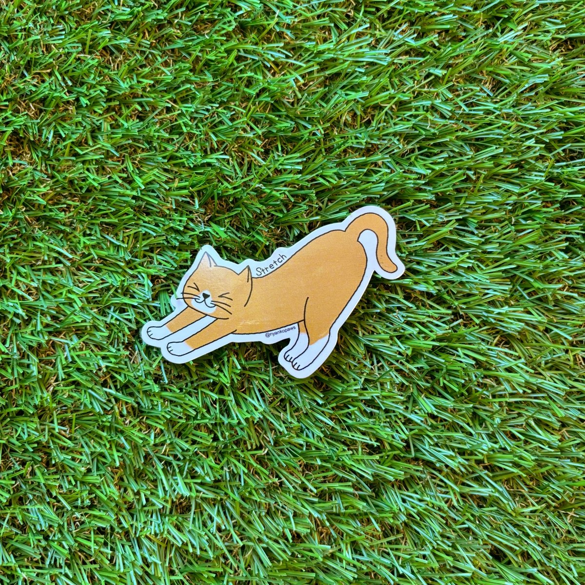 #nyankopaws# #cat_plate# #Cat_picture# #Cat_lover_store# #Cat_Tea#
