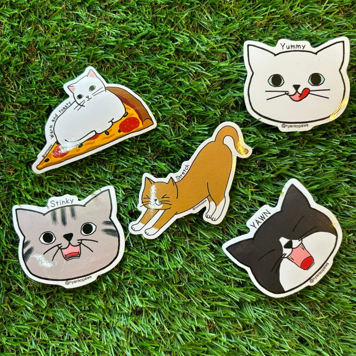 #nyankopaws# #cat_plate# #Cat_picture# #Cat_lover_store# #Cat_Tea#