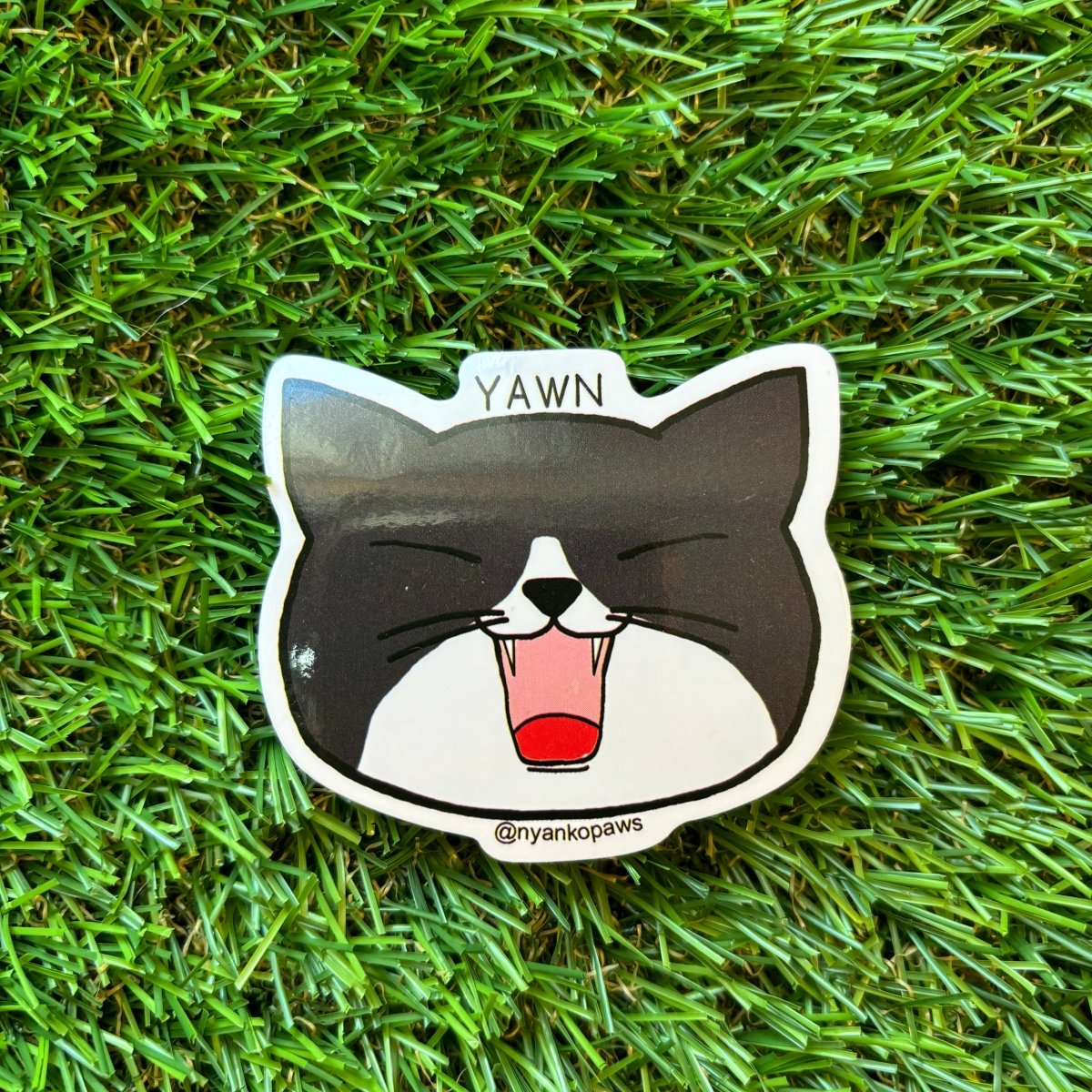 #nyankopaws# #cat_plate# #Cat_picture# #Cat_lover_store# #Cat_Tea#
