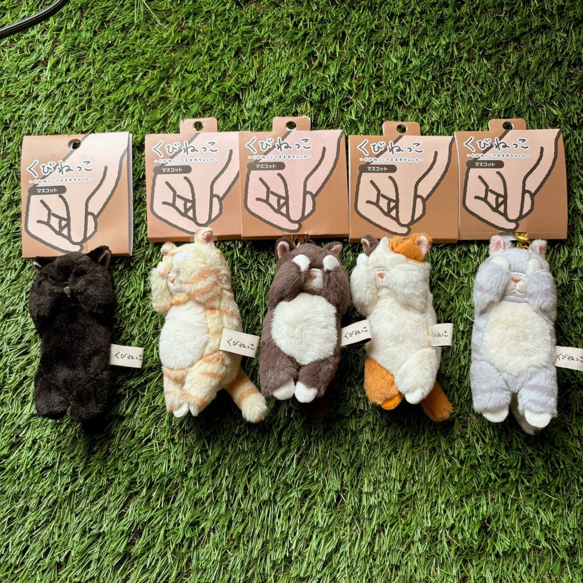 #nyankopaws# #cat_plate# #Cat_picture# #Cat_lover_store# #Cat_Tea#