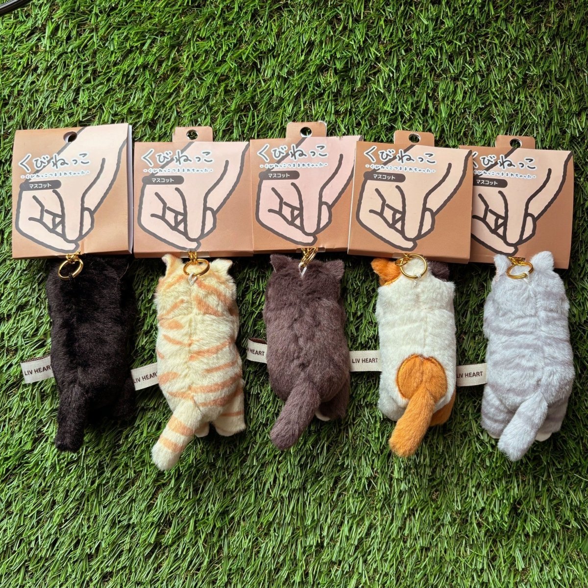 #nyankopaws# #cat_plate# #Cat_picture# #Cat_lover_store# #Cat_Tea#