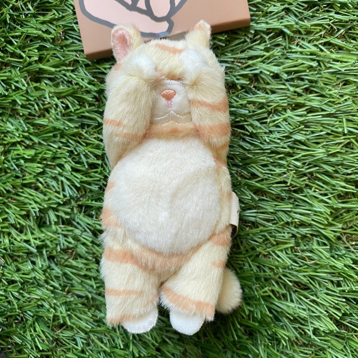 #nyankopaws# #cat_plate# #Cat_picture# #Cat_lover_store# #Cat_Tea#