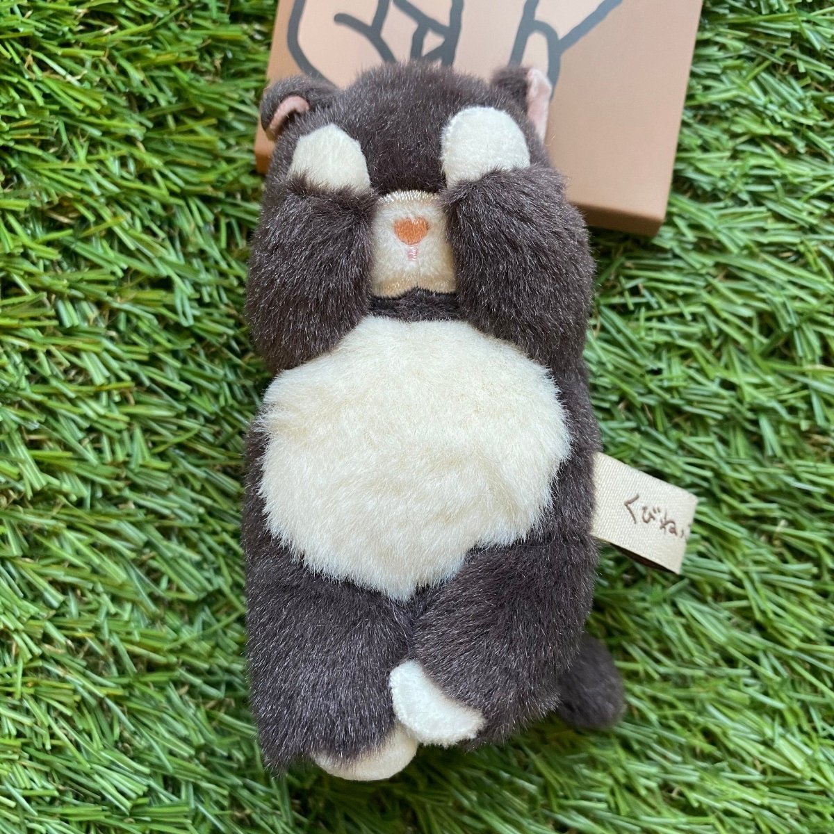#nyankopaws# #cat_plate# #Cat_picture# #Cat_lover_store# #Cat_Tea#