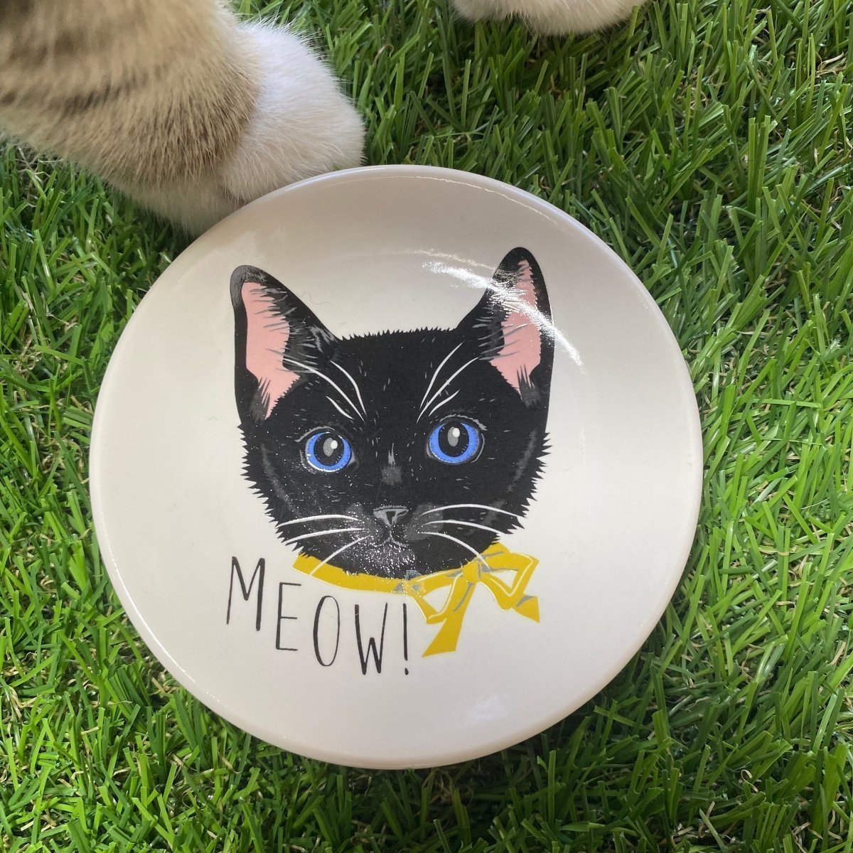 nyankopaws cat_plate Cat_picture Cat_lover_store Cat_Tea