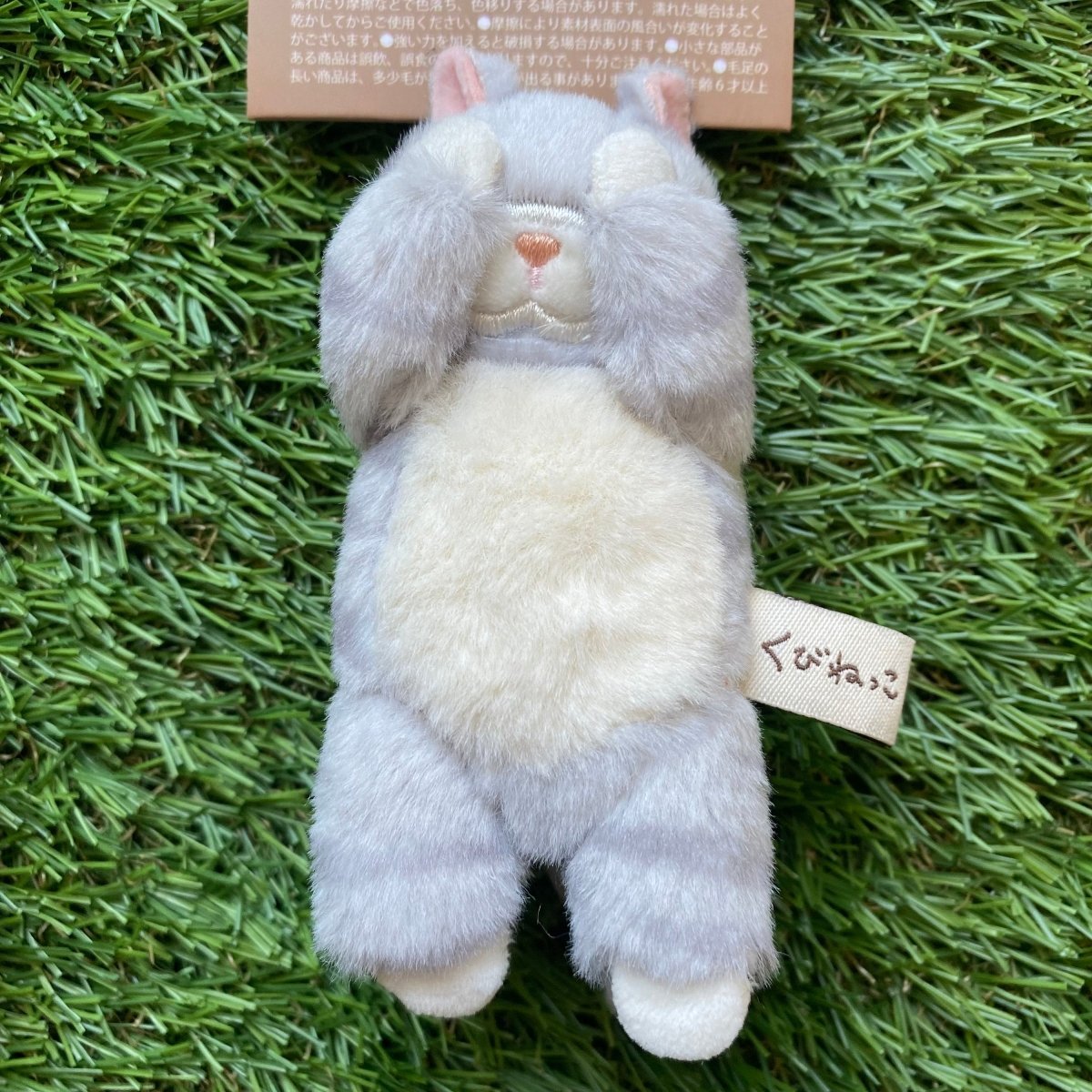 #nyankopaws# #cat_plate# #Cat_picture# #Cat_lover_store# #Cat_Tea#