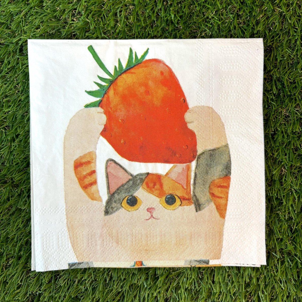 #nyankopaws# #cat_plate# #Cat_picture# #Cat_lover_store# #Cat_Tea#
