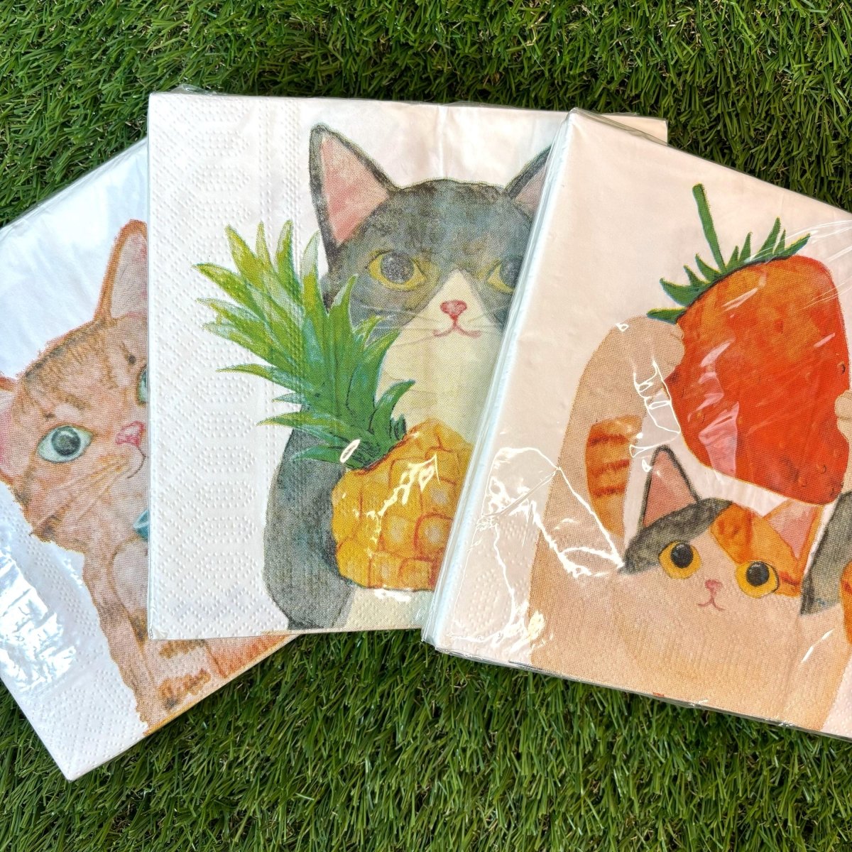 #nyankopaws# #cat_plate# #Cat_picture# #Cat_lover_store# #Cat_Tea#