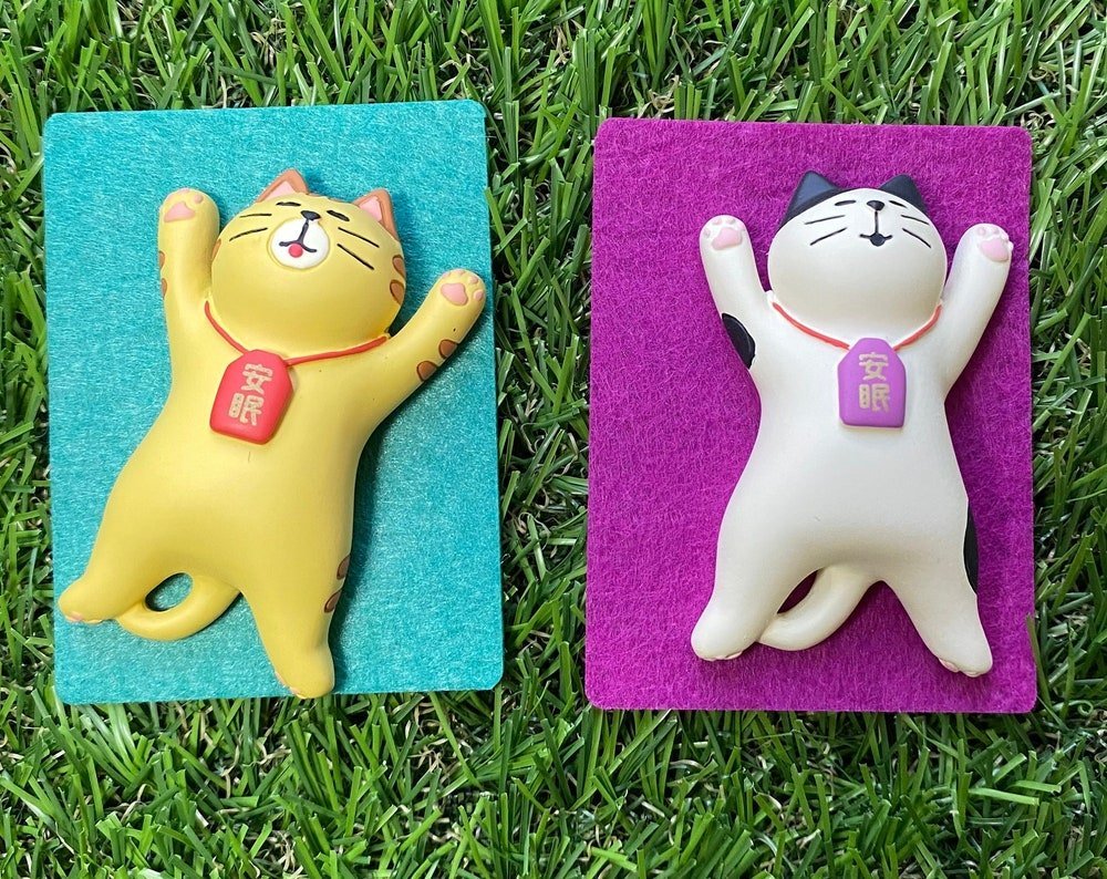 #nyankopaws# #cat_plate# #Cat_picture# #Cat_lover_store# #Cat_Tea#
